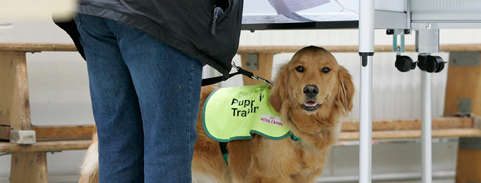 €10,000 for woman over guide-dog charge