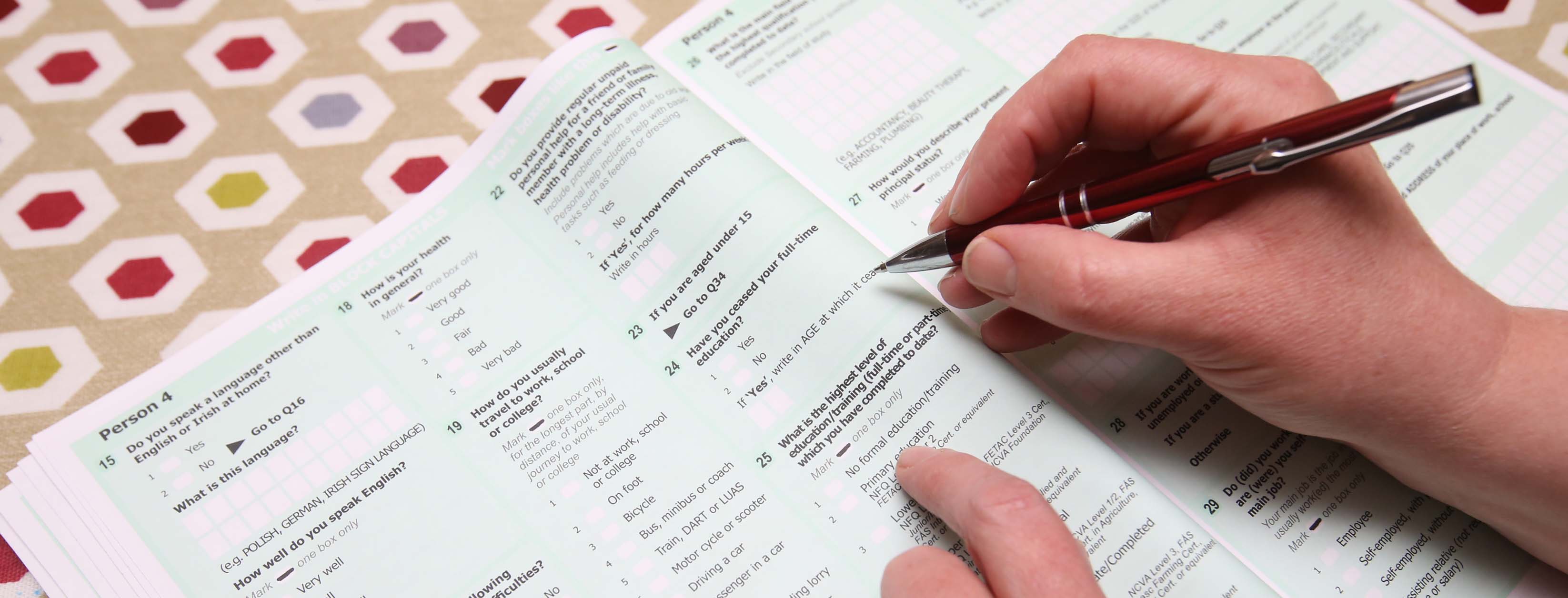 40% rise in numbers working in professional sector – census