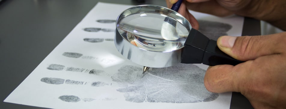 Most English expert witnesses want regulation