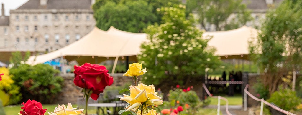 Law Society calls for targeted justice investment