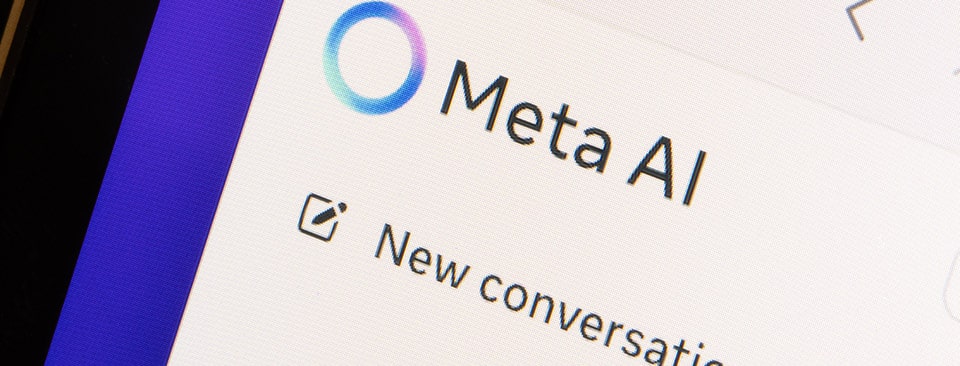 Meta to report to DPC on AI-model training