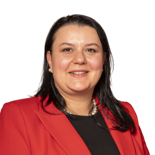 Headshot of Law Society Council member Cristina Stamatescu
