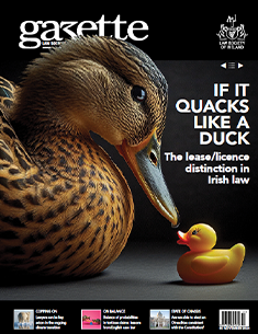 If It Quacks Like a Duck: The lease/licence distinction in Irish law