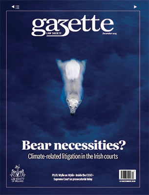 Bear necessities? Climate-related li litigation in the Irish courts