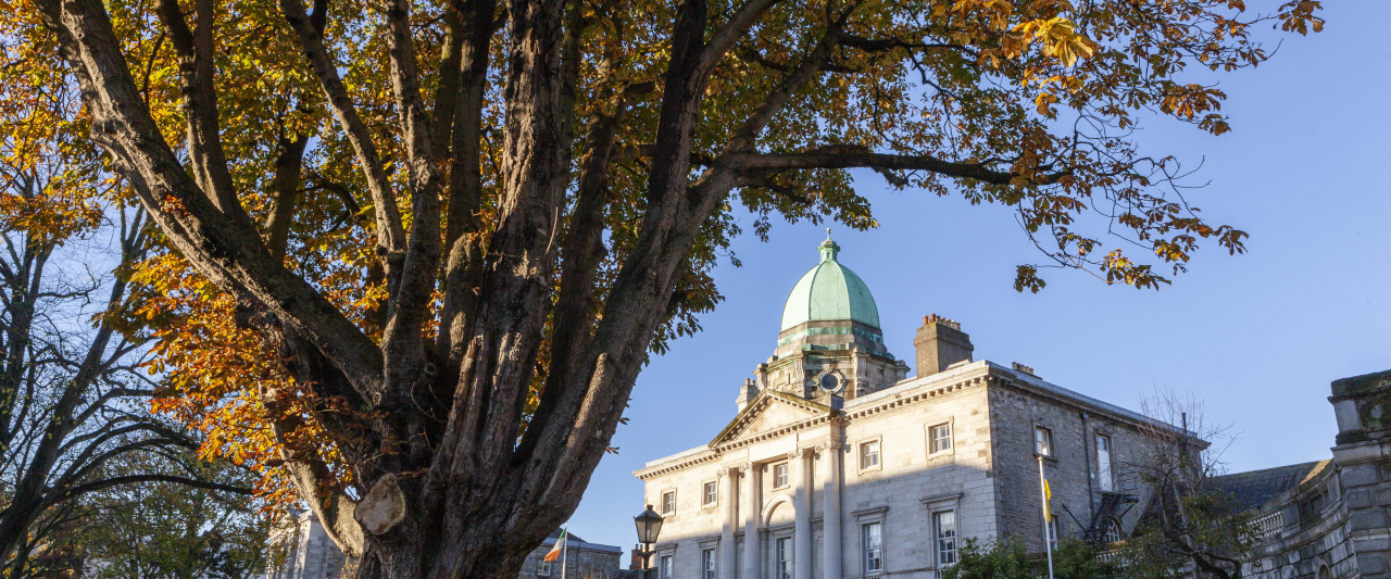 A decorative image of Blackhall place in Dublin