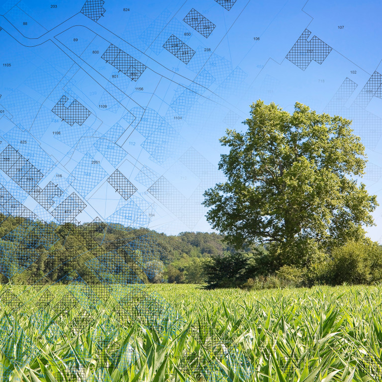 Top up your knowledge: Tailte Éireann webinars