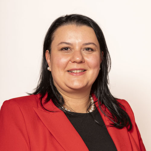 Cristina Stametescu, Council Member